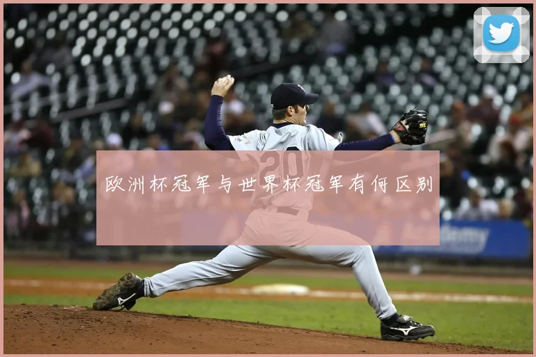 欧洲杯冠军与世界杯冠军有何区别