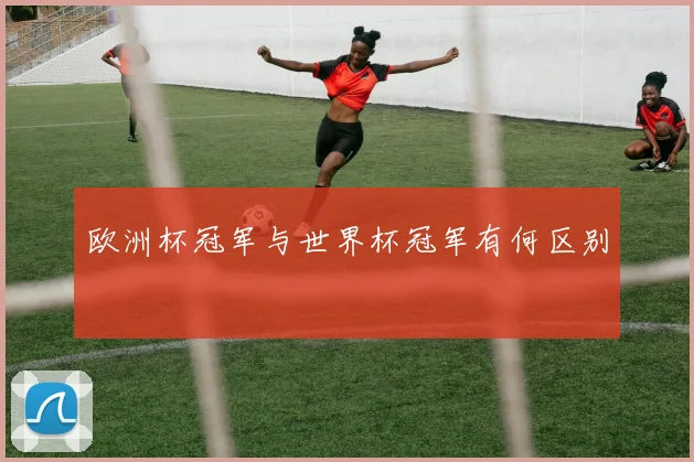 欧洲杯冠军与世界杯冠军有何区别