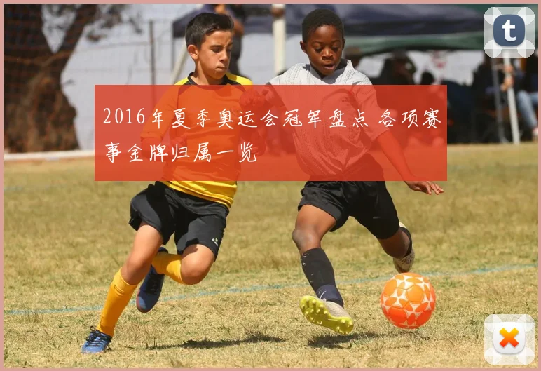 2016年夏季奥运会冠军盘点 各项赛事金牌归属一览