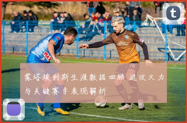 蒙塔埃利斯生涯数据回顾 进攻火力与关键赛季表现解析